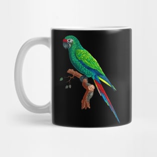 Black Panther Art - Beautiful Parrot 4 Mug